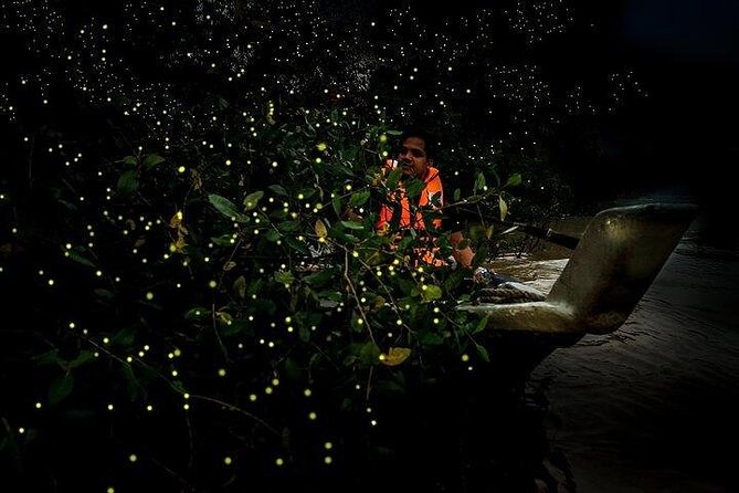 Mystical Nights: Fireflies & Blue Tears Adventure - Sri Shakti Temple: a short cultural stop