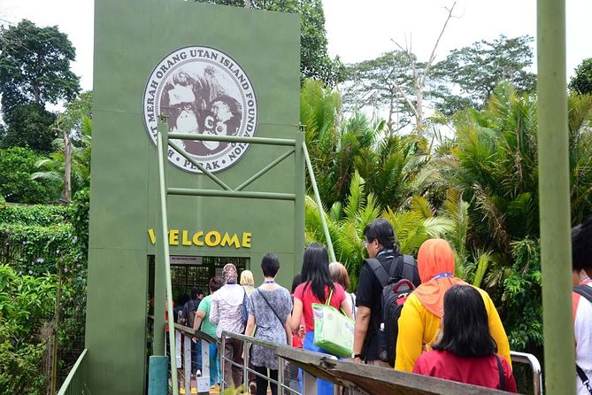 Orang Utan Island and Perak Tong Cave Temple Day Tour from Kuala Lumpur - A long drive for a close look at orangutans