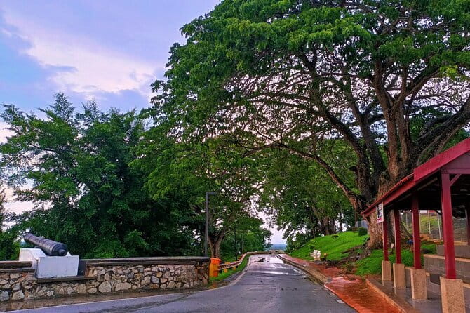 Private Fireflies Tour with Blue Tears and Seafood Dinner - Exploring the hill’s past