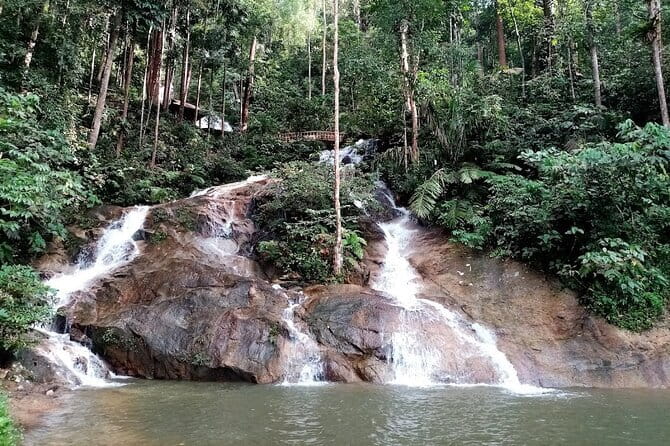 Private Fireflies Tour with Blue Tears and Seafood Dinner - Looking for blue tears on the water