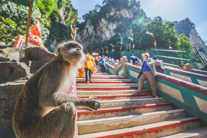Private Half-Day Batu Caves and Cutural Tour in Kuala Lumpur - The driver, the private format and the pace