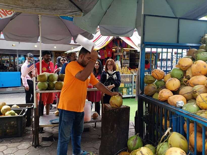 Private KL City Tour with Petronas Twin Towers & Batu Caves - Markets, Chinatown and Kuala Lumpur’s older center