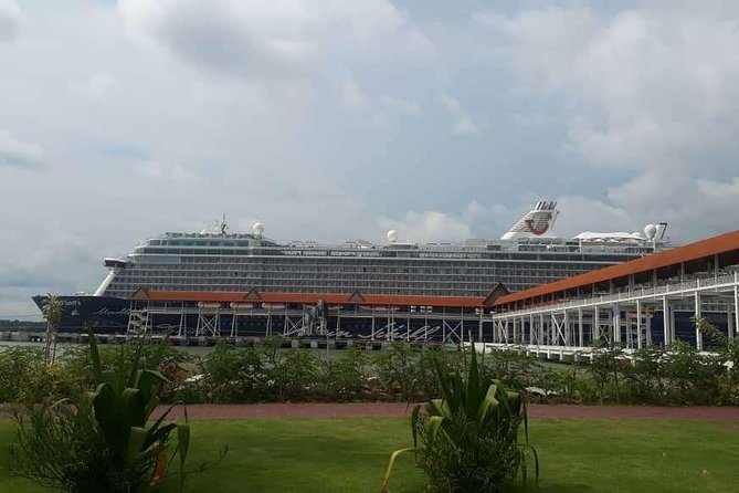 Private Kuala Lumpur Shore Excursions - What the driver can add to the day