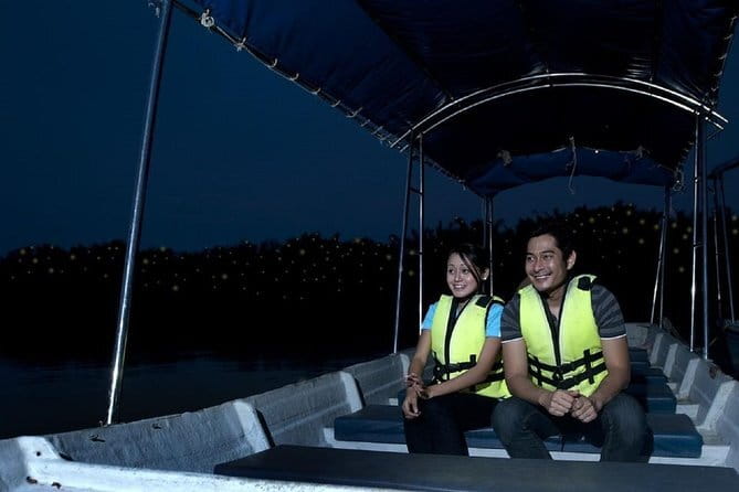 Private Tour: 3 in 1 Day Trip to Batu Caves, Bukit Melawati & Fireflies - Private transport makes a long day easier