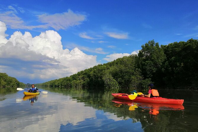 River Exploration and Mangrove Nature Tour by kayaking - What to know before you book