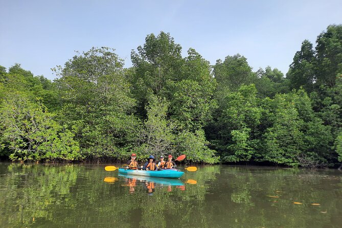 River Exploration and Mangrove Nature Tour by kayaking - Learning from the mangrove interpreter