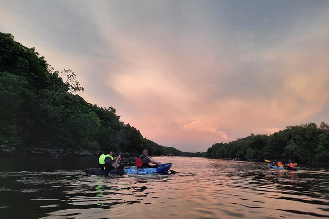 River Exploration and Mangrove Nature Tour by kayaking - Choosing morning or sunset