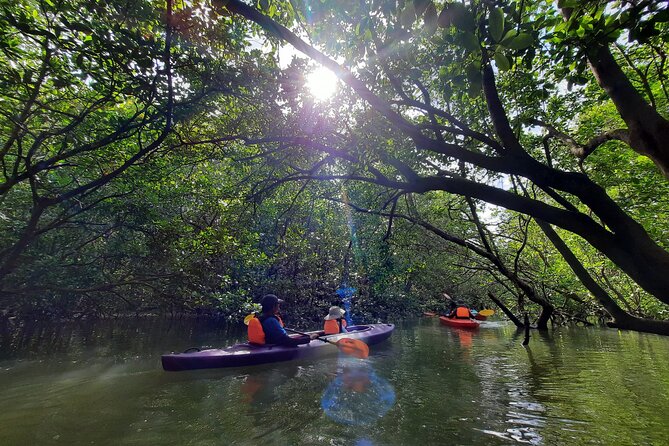 River Exploration and Mangrove Nature Tour by kayaking - Who will enjoy this paddle