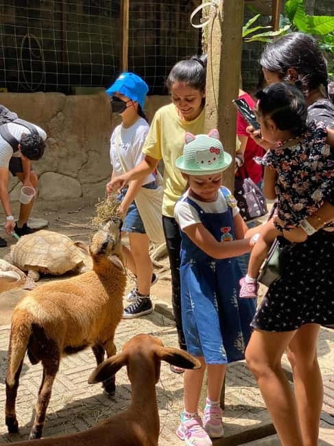 Selangor: Farm In The City Entry Ticket - Meeting animals and plants up close