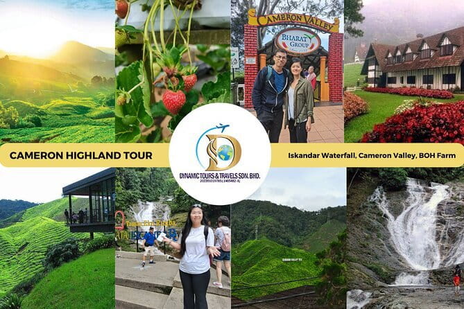 Shared Fireflies Tour with Blue Tears and Seafood Dinner - Who will enjoy this outing