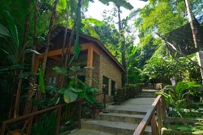 Taman Negara Day Trip from Kuala Lumpur with Lunch - The early road to Taman Negara