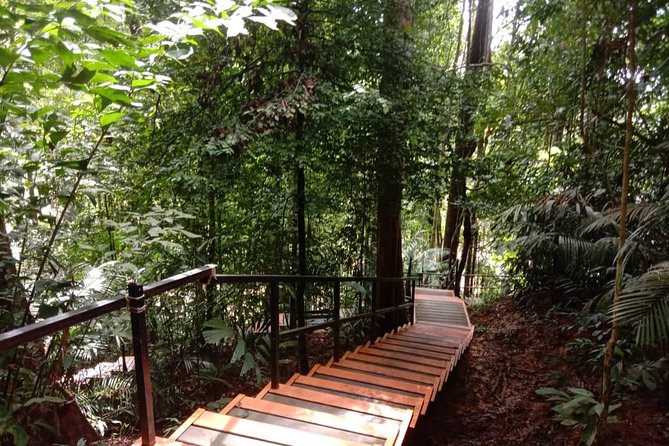Taman Negara National Park Day Tour (SIC - Join In Tour) - A long journey to the forest