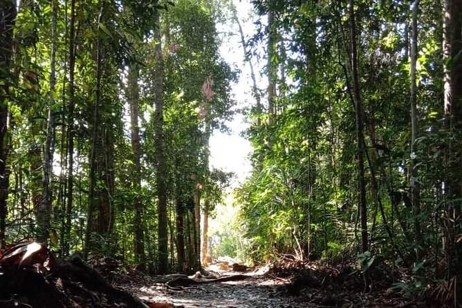 Taman Negara National Park Day Tour (SIC - Join In Tour) - Lunch beside the river