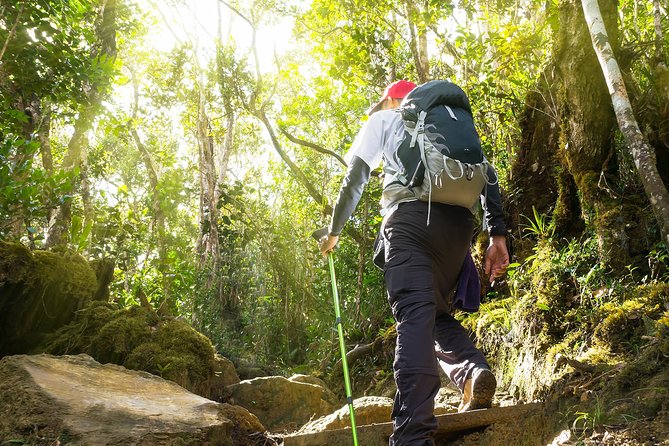 Templer Park and Kanching Waterfall Tour with Batu Caves Stopover - What the private ride changes