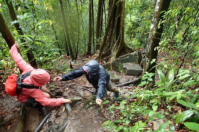 Templer Park and Kanching Waterfall Tour with Batu Caves Stopover - Is this the right half-day tour?